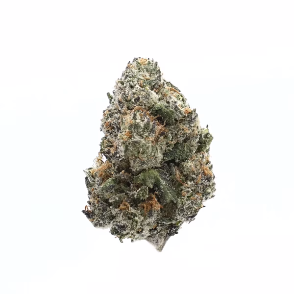 Prohibition Runtz Prohibition Runtz THCa Flower Indica