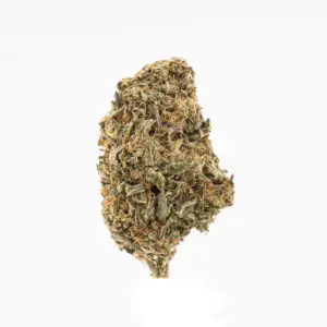 Purple Gumbo THCa Flower Indica