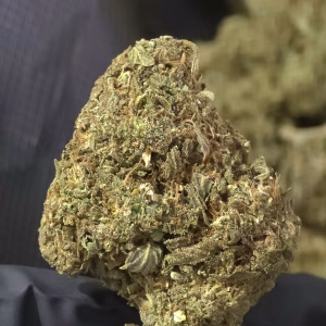 Purple Gumbo — Indica — THCa Flower — 26.65% — Light Dep - Image 3