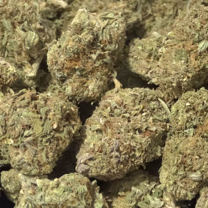 Purple Gumbo — Indica — THCa Flower — 26.65% — Light Dep - Image 2