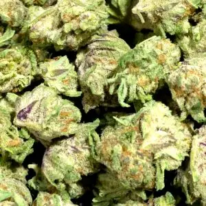 Purple Gushers (Smalls) THCa Flower Hybrid