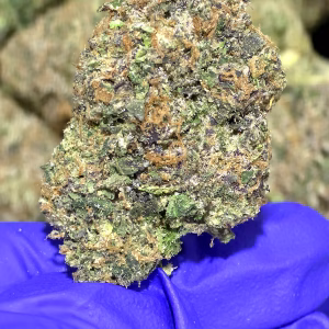 Purple Runtz THCa Flower Hybrid