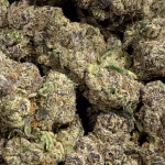 Royal Runtz THCa Flower – 36.75% – Hybrid – Private Reserve - Image 2