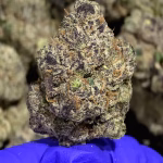 Royal Runtz THCa Flower Hybrid