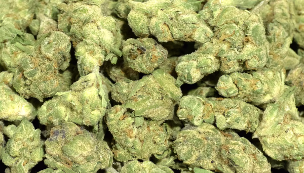 Runtz x Jealousy (Smalls) THCa Flower Hybrid Runtz x Jealousy (Smalls) THCa Flower Hybrid