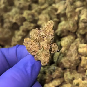 Zookies THCa Flower Hybrid