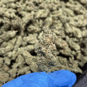 Chimera THCa Flower Hybrid