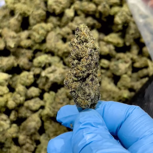 Mochi Mousse THCa Flower – 33.28% – Hybrid – Exotic - Image 3