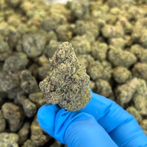 Gas Face THCa Flower Indica