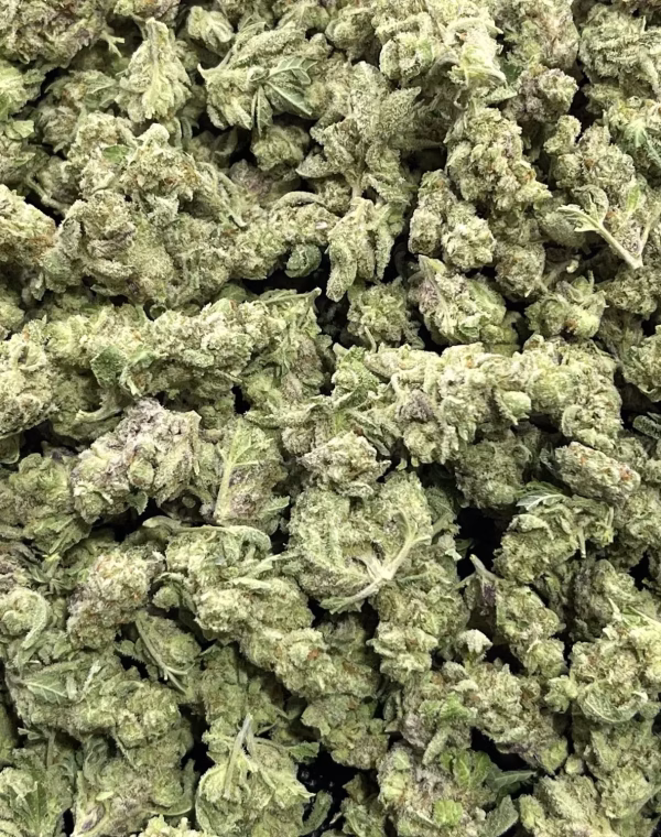 Extreme Cream (Smalls) THCa Flower Indica Extreme Cream (Smalls) THCa Flower Indica