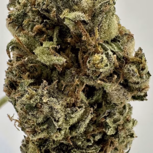 Future Haze - 34.99% THCa - PR - Image 2
