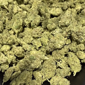 GG #4 — Indica Strain — THCa Flower — 32.66% — Indoor - Image 3