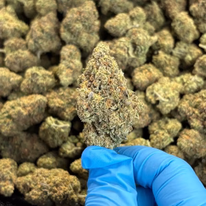Alabama Slamma - Sativa Strain - High THCa Flower - 32.13% - Private Reserve - Image 3