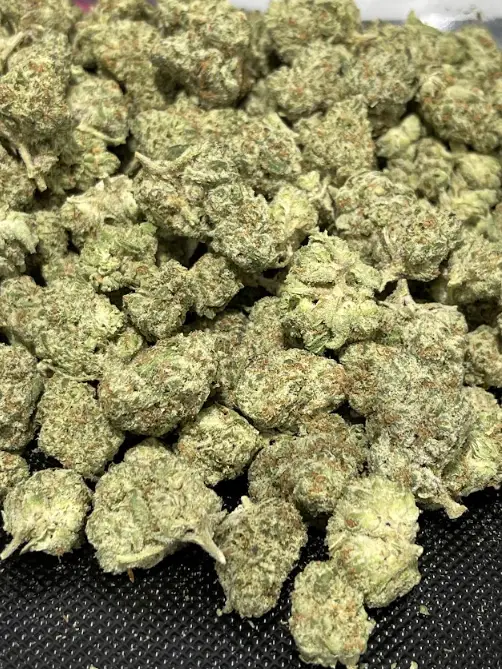 Oreoz THCa Flower Indica