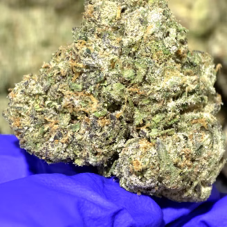 Sex Panther THCa Flower Indica