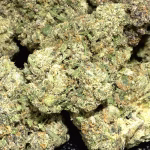 Sex Panther — Indica Strain — THCa Flower — 41.50% — Private Reserve Indica - Image 2