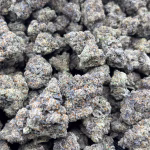 Sex Tape THCa Flower – 34.83% – Sativa – Private Reserve - Image 3