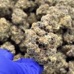 Sex Tape THCa Flower – 34.83% – Sativa – Private Reserve - Image 2