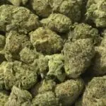 Smarties (Smalls) THCa Flower Indica