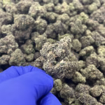 Sour Gumbo THCa Flower – 33.00% – Indica – Private Reserve - Image 2