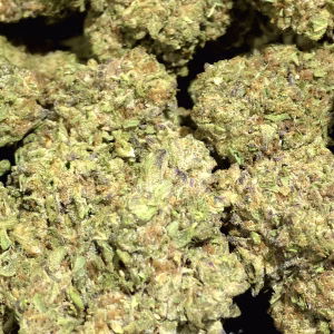 Strawberry Slushee THCa Flower – 24.89% – Indica – Light Dep - Image 2