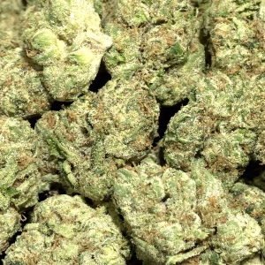 Strawberry Slushee THCa Flower – 34.19% – Indica – Exotic - Image 2