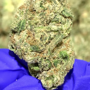 Strawberry Slushee THCa Flower Indica