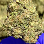 Strawberry Slushee THCa Flower Indica