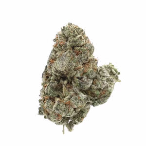 Trop Cherry THCa Flower Sativa