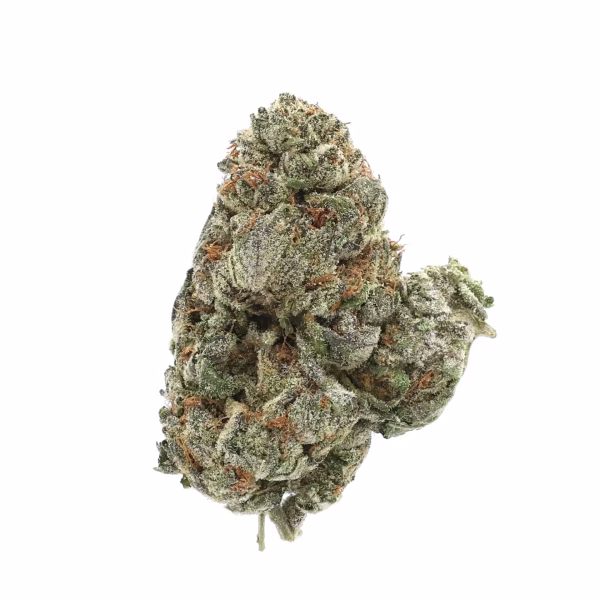Trop Cherry THCa Flower Sativa Trop Cherry THCa Flower Sativa