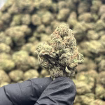 Trop Cherry THCa Flower – 28.74% – Sativa – Exotic - Image 2