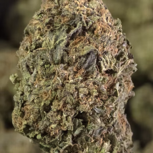 Willy’s Wonder THCa Flower — Indica — 30.86% — Light Dep - Image 3