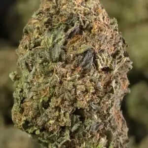 Willy’s Wonder THCa Flower – 30.86% – Indica – Light Dep - Image 3