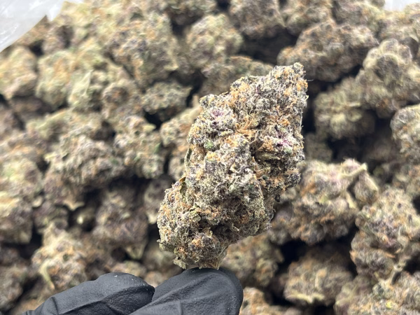 Zookies THCa Flower Hybrid Private Reserve
