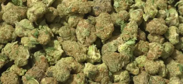 crooked cookies smalls