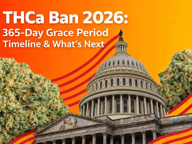 Close-up of frosty THCa cannabis buds on a stylized background