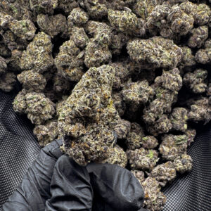 Chimera Junky THCa Flower – 35.00% – Hybrid – Private Reserve - Image 2