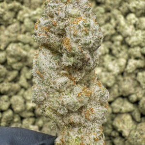 Gucci Berrys THCa Flower Indica