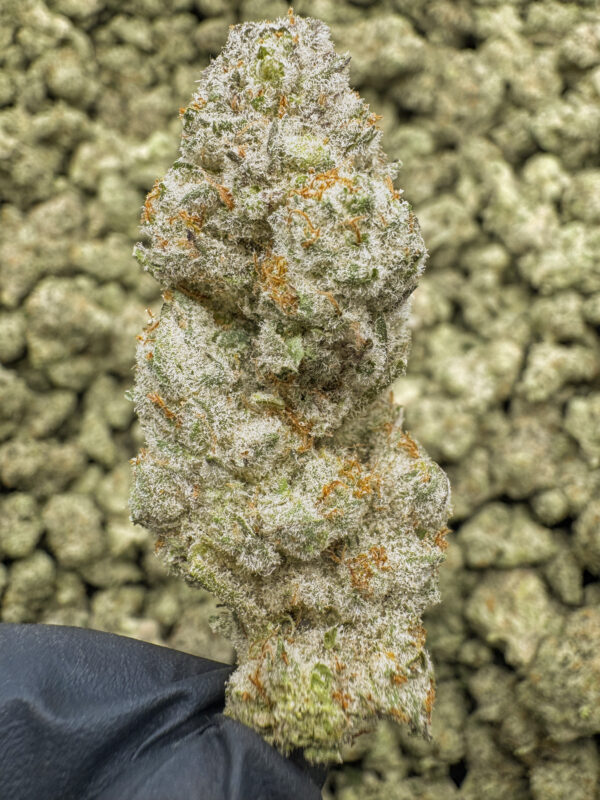 Gucci Berrys THCa Flower Indica