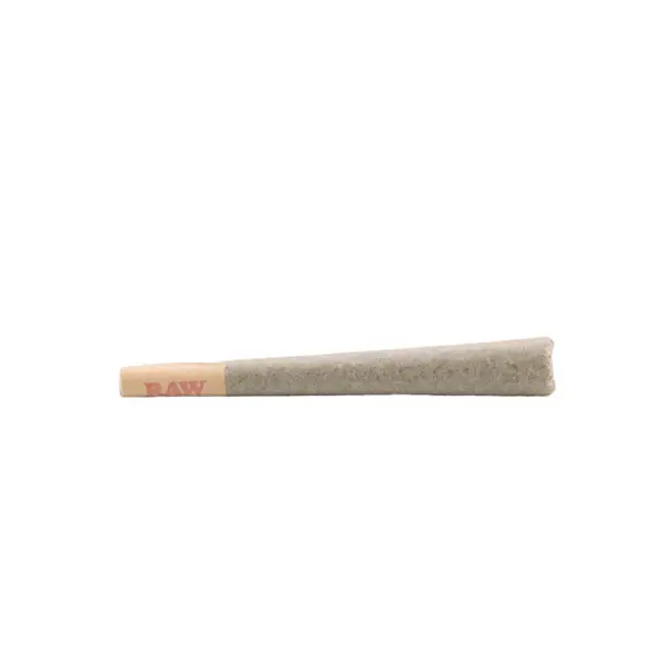 Economy Agent Orange THCa Preroll Sativa