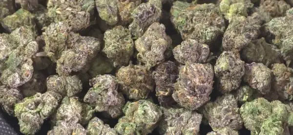 Chem 51 Smalls THCa Flower Indica