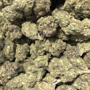 Biscotti x Jealousy - 30.96% THCa - PR