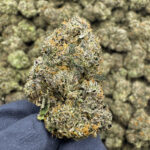 Orange Slushie THCa Hemp Flower Private Reserve