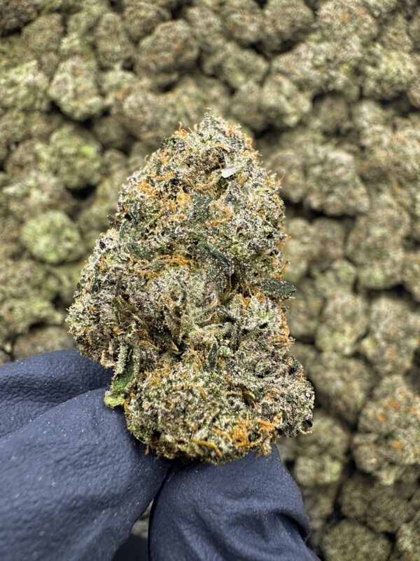 Orange Slushie THCa Hemp Flower Private Reserve