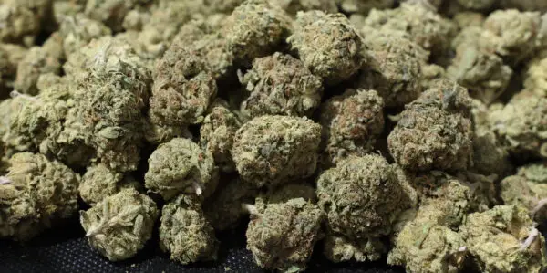 Birthday Cake (Smalls) THCa Flower Indica