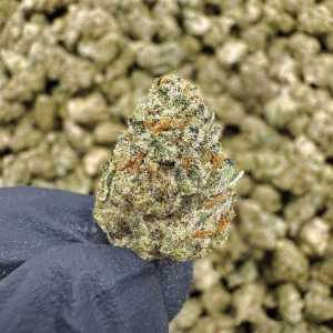 Blizzard Punch Smalls THCa Hemp Flower