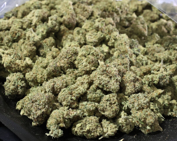 Blue Cheese (Smalls) THCa Flower Indica