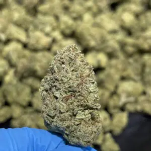 Candy Pop THCa Flower Indica