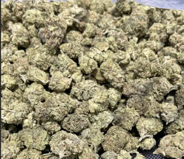 Candy Pop THCa Flower Indica