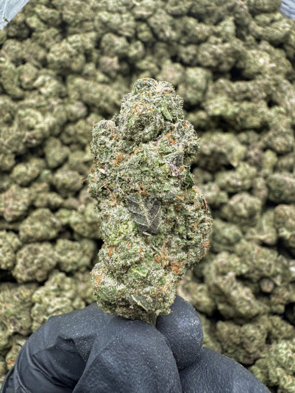 Donny Burger #2 THCa Flower Indica